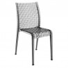 Kartell Ami Ami Chair Smoke*