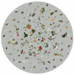 Moooi Garden of Eden Light Grey Signature Carpet 