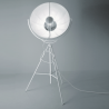 Pallucco Fortuny Floor Lamp 