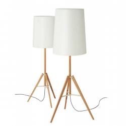 Carpyen Tripod Floor Lamp 