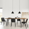 Woud Mono Dining Chair
