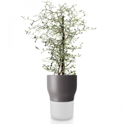 Eva Solo Self Watering Pot 