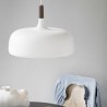  Northern Lighting Acorn Pendant Lamp