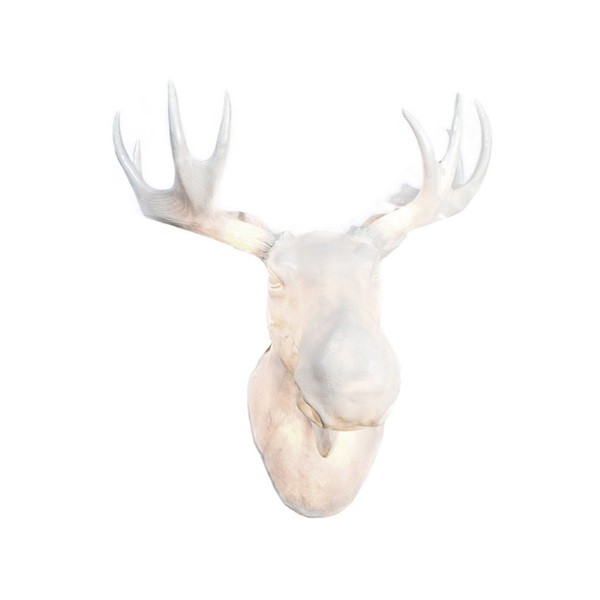 moose head wall light