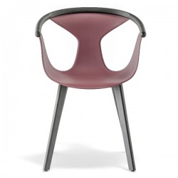 Pedrali Fox Chair