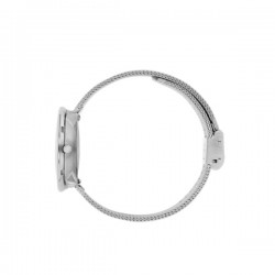 Arne Jacobsen Bankers Watch 30cm Silver/Mesh 