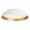 Carpyen Boop Wall/Ceiling Lamp