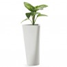 B Line Eve Plant Pot 101cm