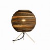 Graypants Moon Table Lamp