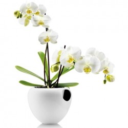 Eva Solo Orchid Pot White