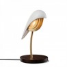 Daqui Concept Bird Ivory White