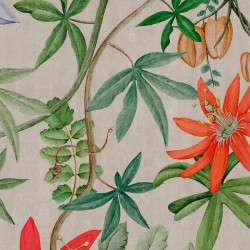 NLXL  UON-04 Passiflora Wallpaper